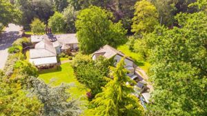 Photo 36- click for photo gallery